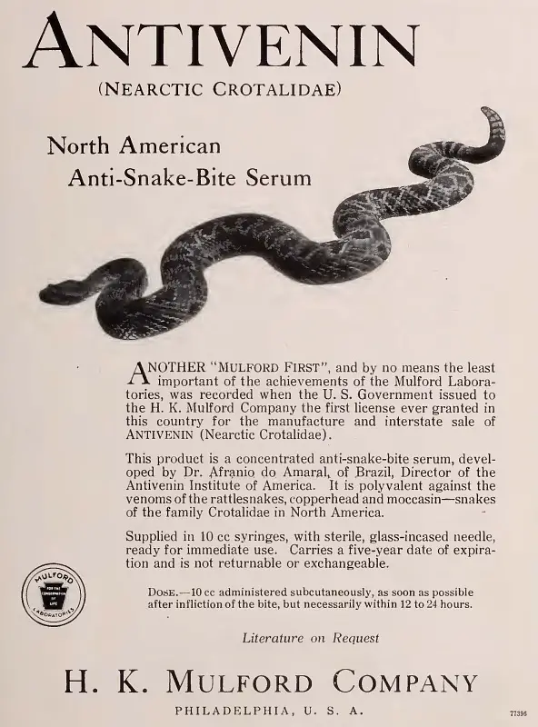 What is Rattlesnake Antivenom Made From?