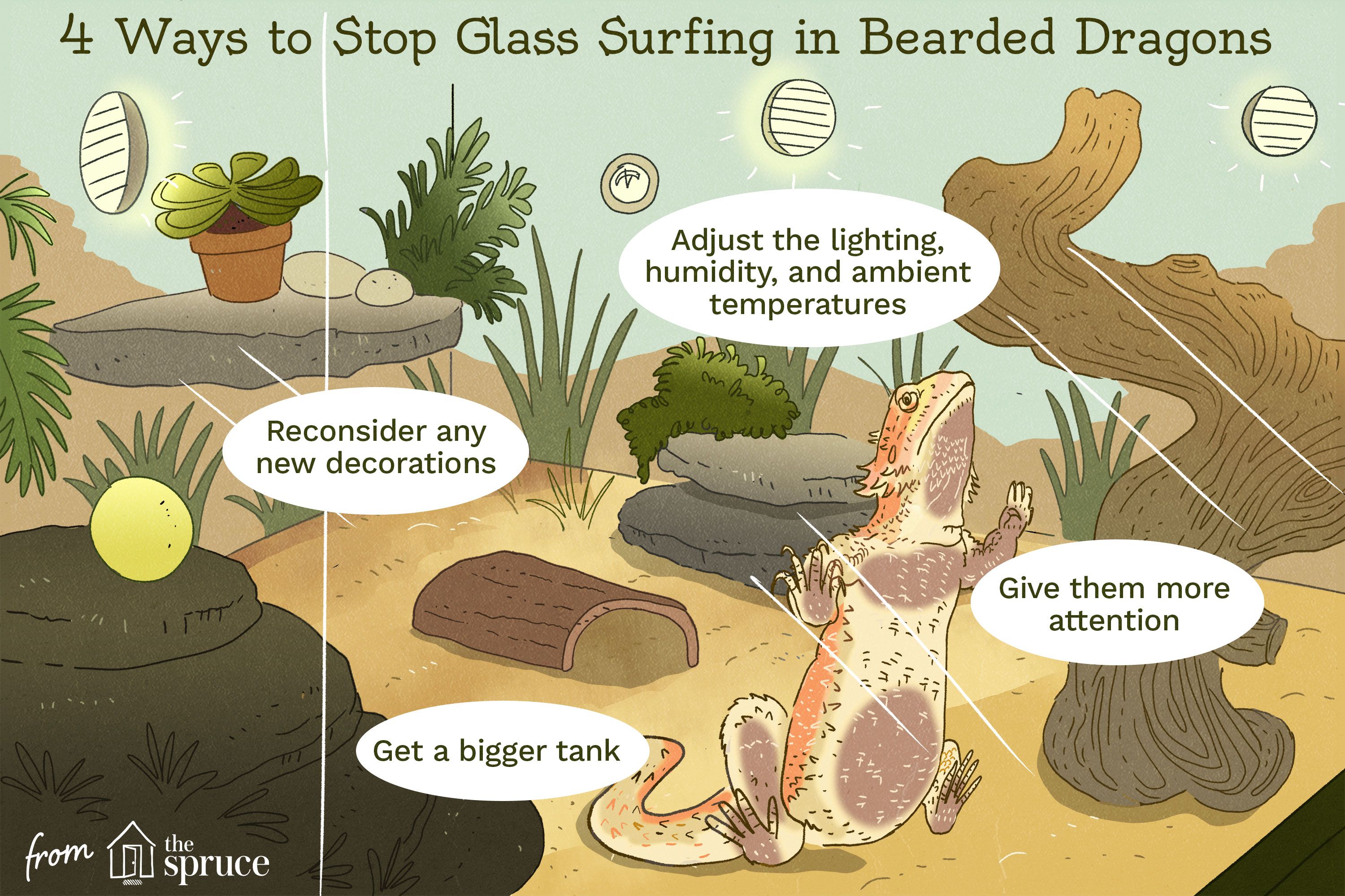 Why Does My Bearded Dragon Glass Surf?