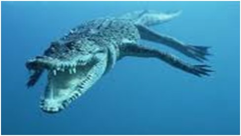 Can Alligators Open Their Mouth Underwater?