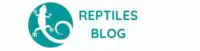 Reptiles Blog