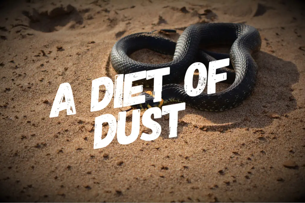 ADietofDust