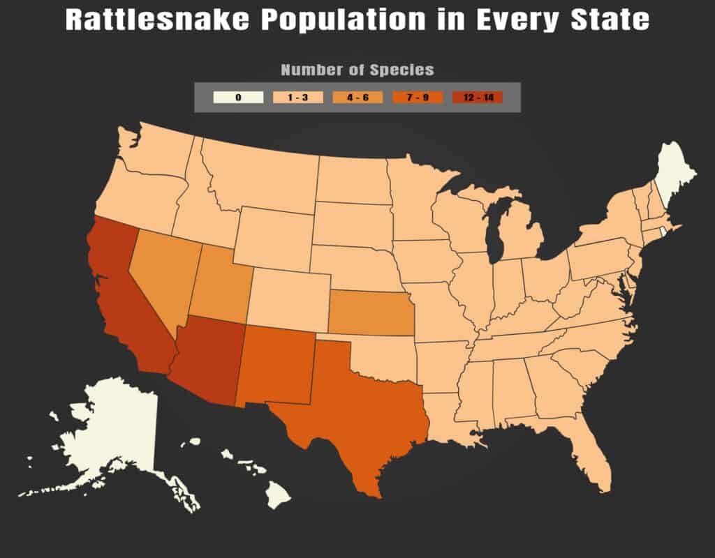 11.09.22 Rattlesnake by State 1024x800 1