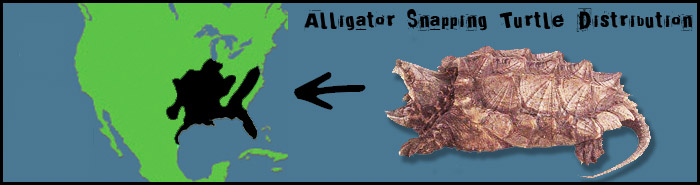 AlligatorSnappingTurtle Distribution map