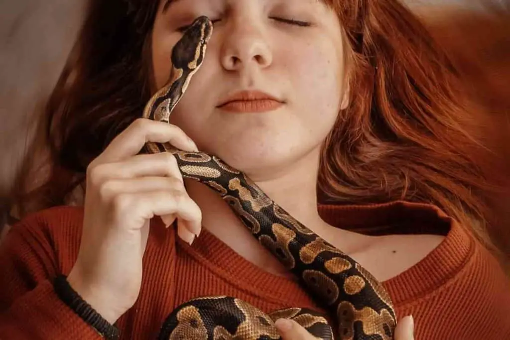 Can You Hold A Snake After It Eats 1 1 1024x683 1