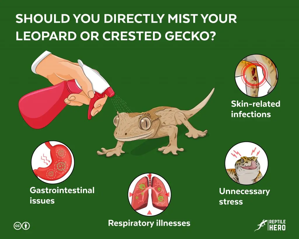 Mist Gecko Infographic 1024x819 1