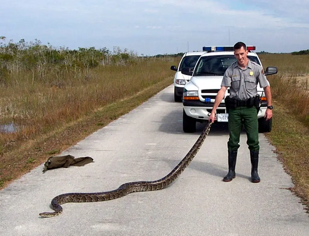 Officer and Snake National Park Service