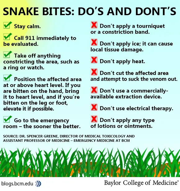 Snake Bites Updated April 2019