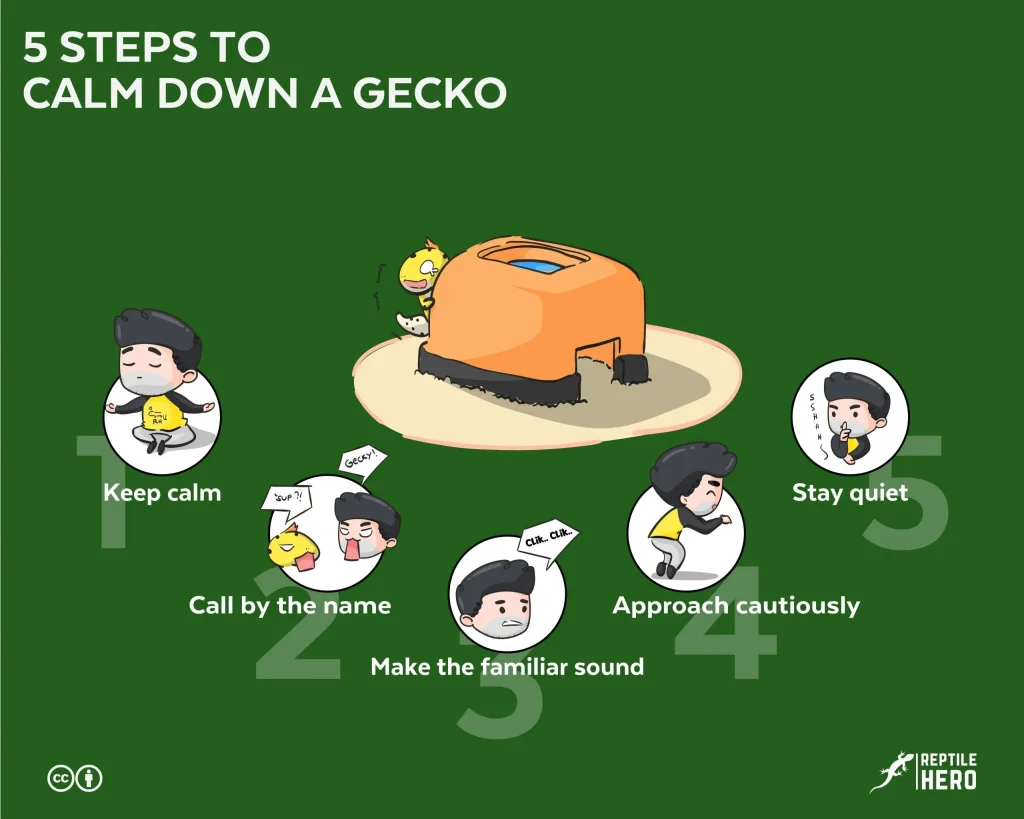 calm down gecko cc scaled 1