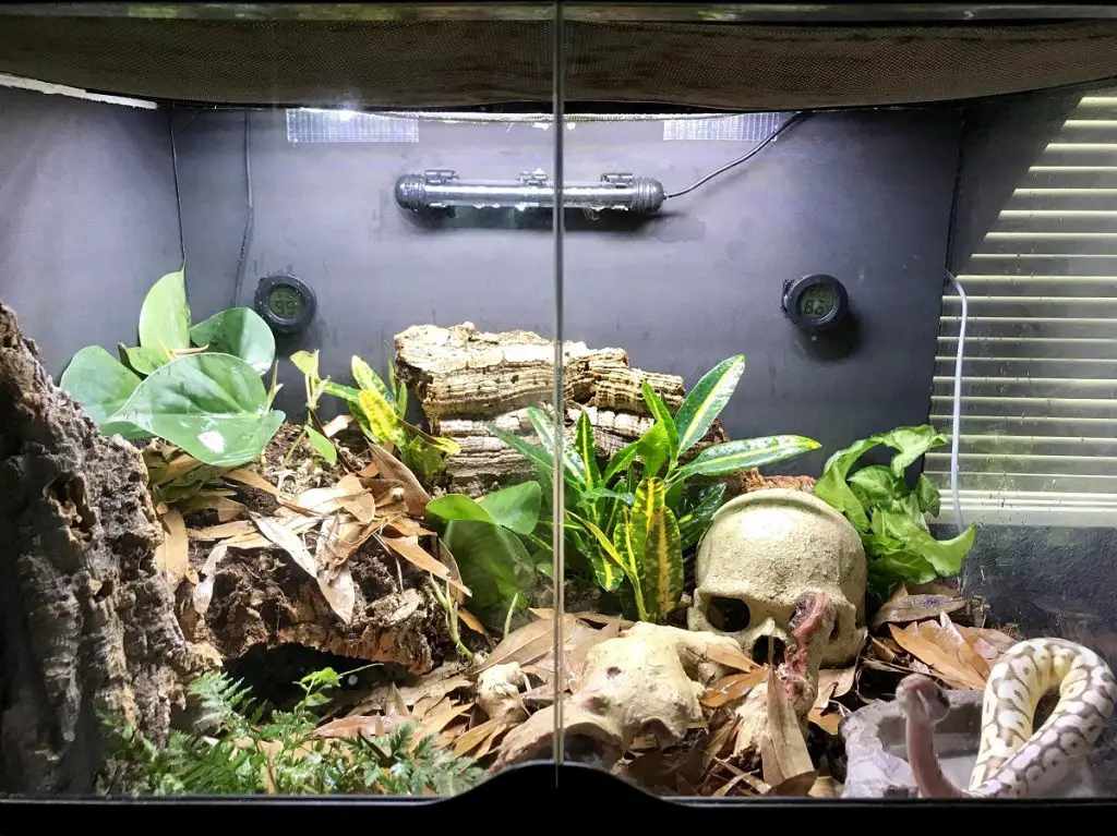 how to increase heat in ball python tank 1024x767 1