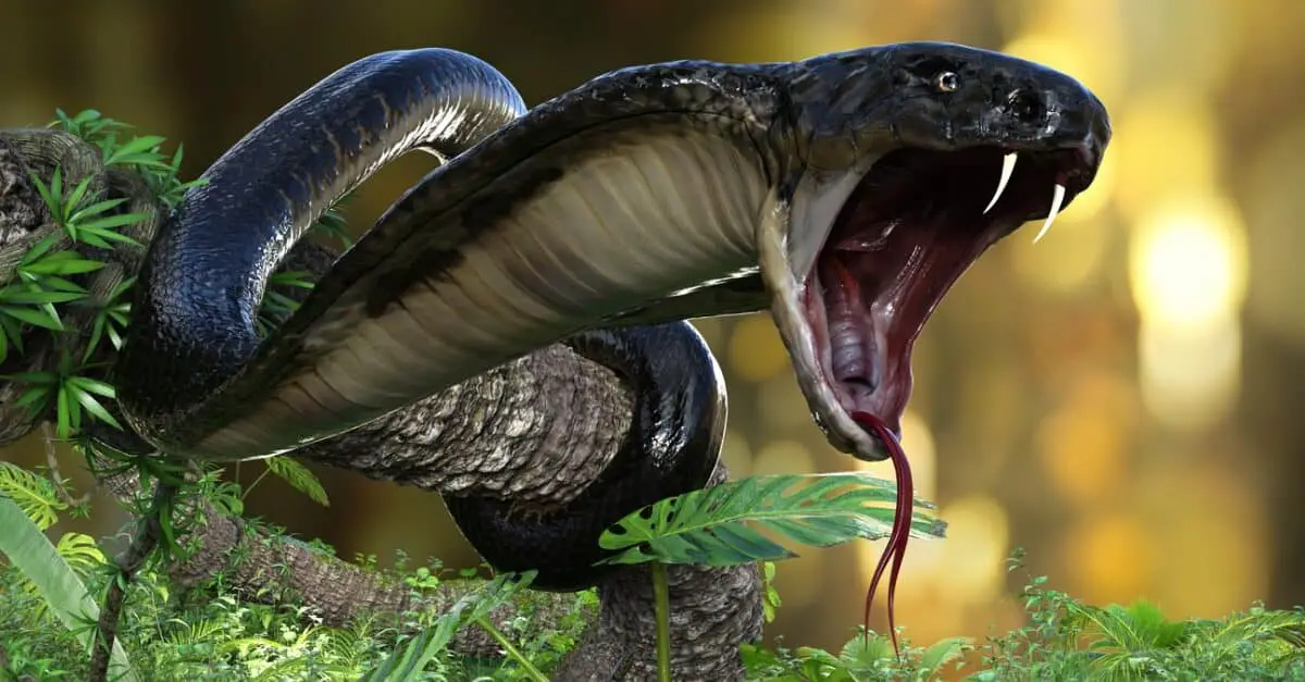 How Much Venom Does A King Cobra Have?