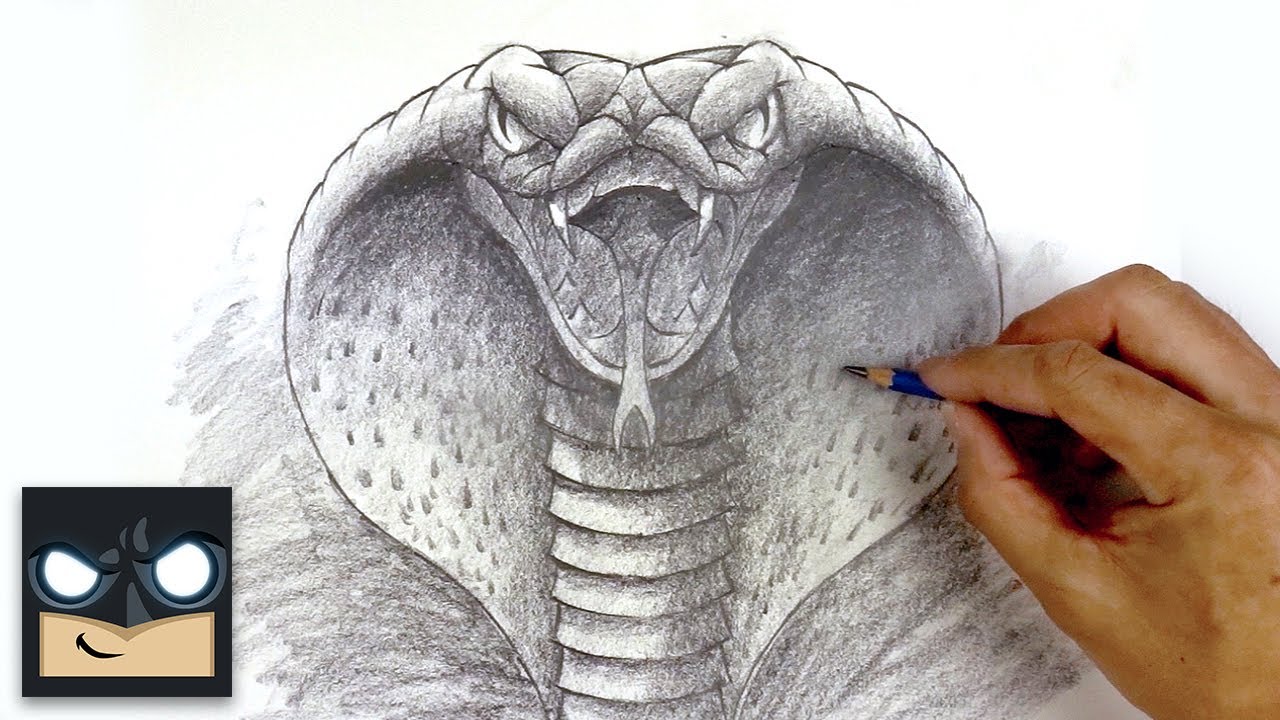 How To Draw A Realistic King Cobra?