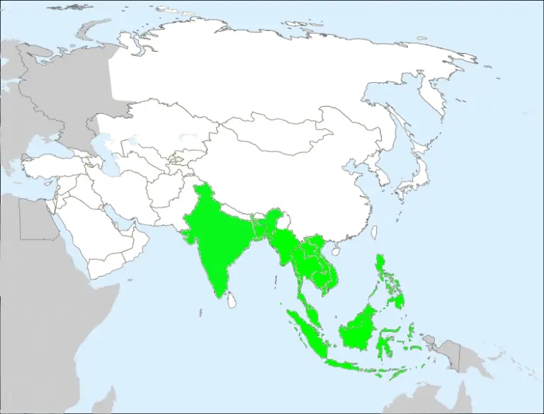 Where Do Reticulated Pythons Live?