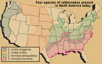 rep rattls ranges map