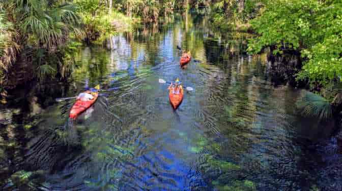 where can you kayak in florida without alligators