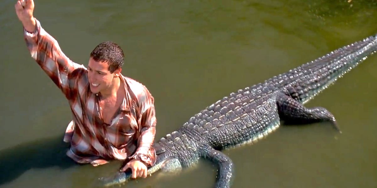 Do Alligators Attack People?