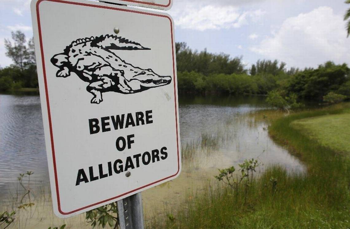 Does Lake Norman Have Alligators?