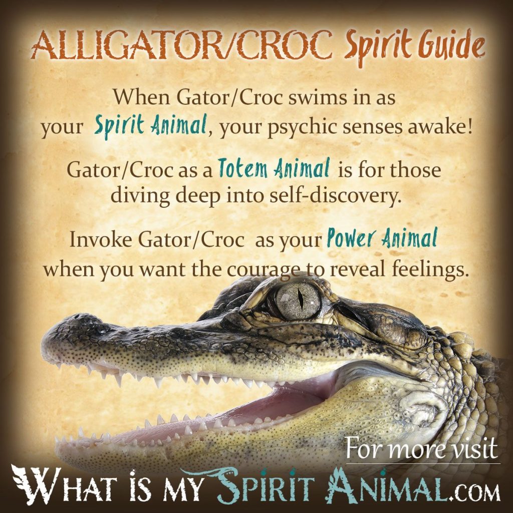 alligator spirit totem power animal 1200x1200 1