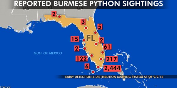 How Far North Have Pythons Been Found in Florida?