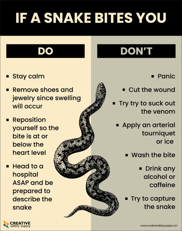 What to Do if Bitten by King Cobra?